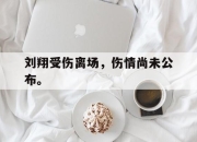 半岛体育网址-刘翔受伤离场，伤情尚未公布。